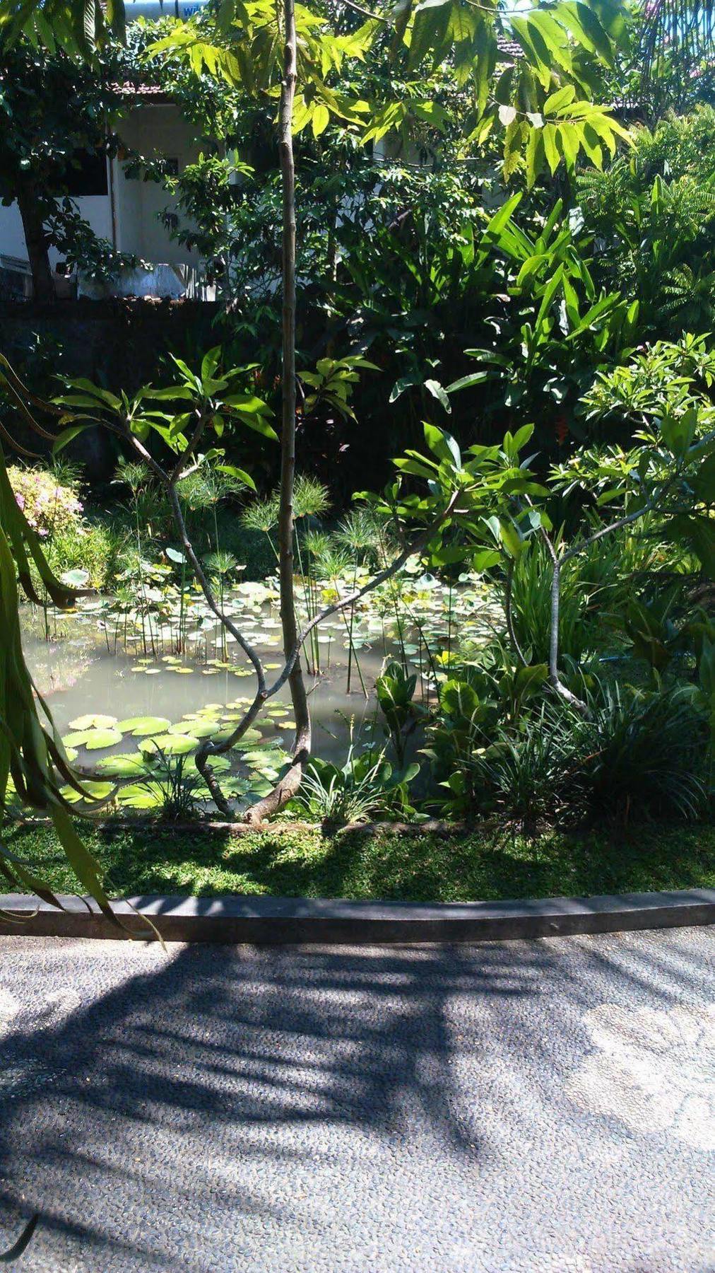 Puri Dalem Cottages Ubud Eksteriør billede